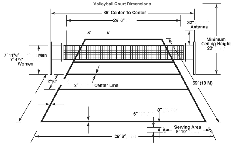 Volleyball court dimensions and taping info